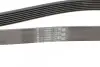 Ремень генератора Toyota Avensis 2.0 D-4D 08-18 Contitech 7PK1370 (фото 3)