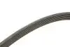 Ремінь генератора Honda Civic 1.8 05-/CR-V 2.0 06-12 Contitech 7PK1538 (фото 3)