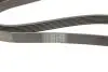 Ремінь генератора Honda Civic 1.8 05-/CR-V 2.0 06-12 Contitech 7PK1538 (фото 5)
