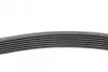 Ремінь генератора BMW 5 (E39/F10)/7 (E38) 3.5i/4.0i 96-03 Contitech 7PK1635 (фото 2)