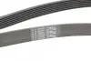 Ремінь генератора BMW 5 (E39/F10)/7 (E38) 3.5i/4.0i 96-03 Contitech 7PK1635 (фото 3)