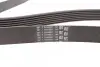 Ремінь генератора BMW X5 (E70) 4.8i 07-08/Renault Master/Opel Movano 2.3 dCi/CDTI 10- Contitech 7PK1666 (фото 2)