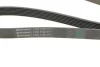 Ремень генератора Honda CR-V 2.0 01-06 Contitech 7PK1730 (фото 3)