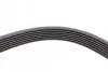 Ремінь генератора BMW 7 (E65/E66/E67) 4.0/4.5D 02-08/Honda Accord 2.0 03-08 Contitech 7PK1760 (фото 3)