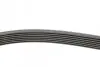 Ремінь генератора Renault Megane/Scenic 1.4 09-/Honda Accord/CR-V 2.2 i-CTDi 04- Contitech 7PK1785 (фото 2)