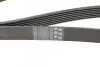 Ремінь генератора Renault Megane/Scenic 1.4 09-/Honda Accord/CR-V 2.2 i-CTDi 04- Contitech 7PK1785 (фото 4)