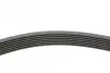 Ремінь генератора Ford Scorpio II 2.5TD 94-98/Toyota Camry 2.4i 06-11/Avensis 2.0 01-09 Contitech 7PK1910 (фото 2)