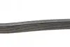 Ремень генератора Toyota Camry/Avensis/RAV4 2.0/2.4 00-/Land Cruiser Prado 3.0D 00- Contitech 7PK1933 (фото 2)