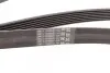 Ремень генератора MB E-class (W212)/S-class (W221) 09- Contitech 7PK2005 (фото 3)