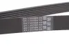 Ремень Contitech 7PK2080 (фото 4)