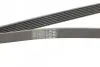 Ремінь генератора Toyota Camry/Land Rover 3.5i/4.0/4.6 81- Contitech 7PK2090 (фото 3)
