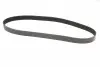 Ремінь генератора Mazda 3/5/6 2.0 DI/CD 02-10 Contitech 8PK1226 (фото 5)