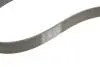 Ремінь генератора BMW 3 (F30/F80)/5 (F10)/ X5 (F15/F85)/ X6 (F16/F86) 13- (S55) Contitech 8PK1395 (фото 5)