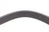 Ремень генератора BMW 5 (F10)/X5 (E70/F15/F85)/X6 (E71/E72/F16/F86) 08-16 Contitech 8PK1478 (фото 4)