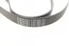 Ремінь генератора Land Rover Range Rover Sport 05-13/Discovery 2.7D 04- Contitech 8PK2092 (фото 3)