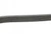 Ремень генератора MB W140 3.2i Contitech 8PK2440 (фото 2)