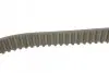 Комплект ГРМ + насос Audi A3/A4/A6/Skoda Octavia/VW Golf/Passat/Bora 1.9TDI 95-10 (30x120z) Contitech CT1028WP7 (фото 2)