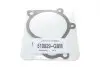 Комплект (ремінь+ролик+помпа) Contitech CT1099WP2 (фото 14)