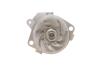 Комплект ГРМ + насос Opel Astra/Fiat Grande Punto 1.9CDTI 04-15 (24x190z) Contitech CT1106WP1 (фото 5)