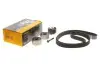 Комплект ГРМ Land Rover Discovery/Range Rover 3.0TD 09- (29x195z) Contitech CT1117K3 (фото 2)