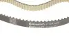 Ремінь ГРМ Land Rover Range Rover/Discovery 3.0D 09- (20x80z) Contitech CT1239 (фото 3)