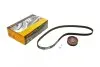 Комплект ГРМ Audi A4/VW Passat 1.6i 96-00 (18x121z) CT848K3
