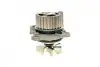 Комплект ГРМ + насос Skoda Octavia 96-10/VW Golf IV/Bora 96-05/Audi A4 1.8/1.8T 95-03 (23x150z) Contitech CT909WP1 (фото 6)