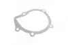 Комплект ГРМ + насос Citroen Berlingo/Jumper/Peugeot Boxer/Expert/Partner 2.0HDi 98-09 (25x141z) Contitech CT987WP1 (фото 14)