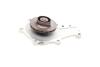 Насос воды Citroen Berlingo/Fiat Scudo 1.6HDI 08-(19z) Contitech WP6014 (фото 2)