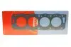 Прокладка головки блоку циліндрів CITROEN/FIAT/HYUNDAI/PEUGEOT/SUZUKI/LADA CORTECO 414407P (фото 1)