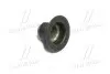 Сальник клапана IN/EX OPEL Z22SE 2,2 16V D1 6mm D2 10mm D3 25mm высота 16mm (выр-во) CORTECO 49472876 (фото 3)