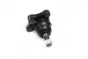 Опора кульова нижня KIA Bongo 03-10 OLD CBKK-6 CTR CB0232 (фото 1)