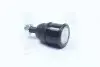 Опора шаровая нижняя Honda Civic 91-01 CR-V 95-02 NEW CB0109 (выр-во) CTR CBHO-16 (фото 1)