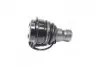 Опора кульова нижня Hyundai Santa Fe 99- NEW CB0187 CTR CBKH-22 (фото 1)