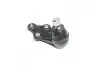 Опора шаровая нижняя Hyundai Tucson 13-15 KIA Sportage 13-15 NEW CB0212 (выр-во) CTR CBKH-44 (фото 3)