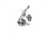 Опора кульова нижня KIA Sorento 14- NEW CB0229 CTR CBKK-31 (фото 1)