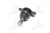 Опора шаровая нижняя SsangYong Kyron 05- Actyon 06- NEW CB0242 (выр-во) CTR CBKS-7 (фото 2)