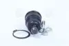 Опора кул нижняя Mazda 3/5/626 Tribute KIA Clarus 95-00 Ford Escape 05-12 NEW CB0274 (выр-во) CTR CBMZ-17 (фото 4)