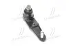 Опора шаровая нижняя Mazda 323 (BG) (89-94) 323 (BA) (94-98) NEW CB0280 (выр-во) CTR CBMZ-27 (фото 1)