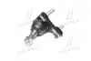 Опора кул ниже Toyota RAV4 06- Auris 07- Camry 70 Prius 09- CH-R 16- Lexus NEW CB0418 (выр-во) CTR CBT-74 (фото 2)