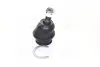 Опора шаровая нижняя Toyota Land Cruiser 120 02- Hilux Surf 02- NEW CB0432 (выр-во) CTR CBT-88 (фото 4)