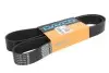 Ремінь полікліновий 10PK1500 DAYCO 10PK1500HD (фото 1)
