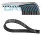 Доріжковий пас DAYCO 10PK1705HD (фото 1)