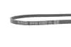 Ремень поликлиновый (Выр-во) DAYCO 3PK860S (фото 4)