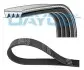 Ремень поликлиновый FIAT DOBLO 00-09 DAYCO 4PK675 (фото 1)