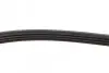Ремень генератора Smart 0.6-0.7i DAYCO 4PK788 (фото 3)