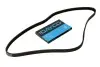 Ремень генератора Honda Civic VI/Nissan Primera 1.4-1.6 16V 94-01 DAYCO 4PK800 (фото 1)