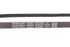 Ремень генератора Renault Kangoo 1.2i 01-(-AC)/Fiat Scudo 1.6i (+AC) DAYCO 4PK905 (фото 4)