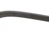 Ремень генератора Suzuki Baleno 1.8 96-02 DAYCO 5DPK1550 (фото 2)