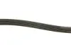 Ремінь генератора BMW 5 (E39)/7 (E38) 2.5TD/Kia Cerato 1.5-1.6CRDI 05- DAYCO 5PK1850 (фото 3)
